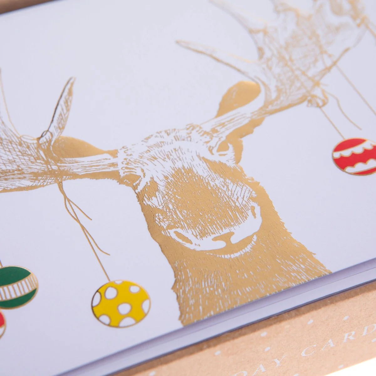 Moose Antlers Large Classic Holiday Boxed Cards - Image 4