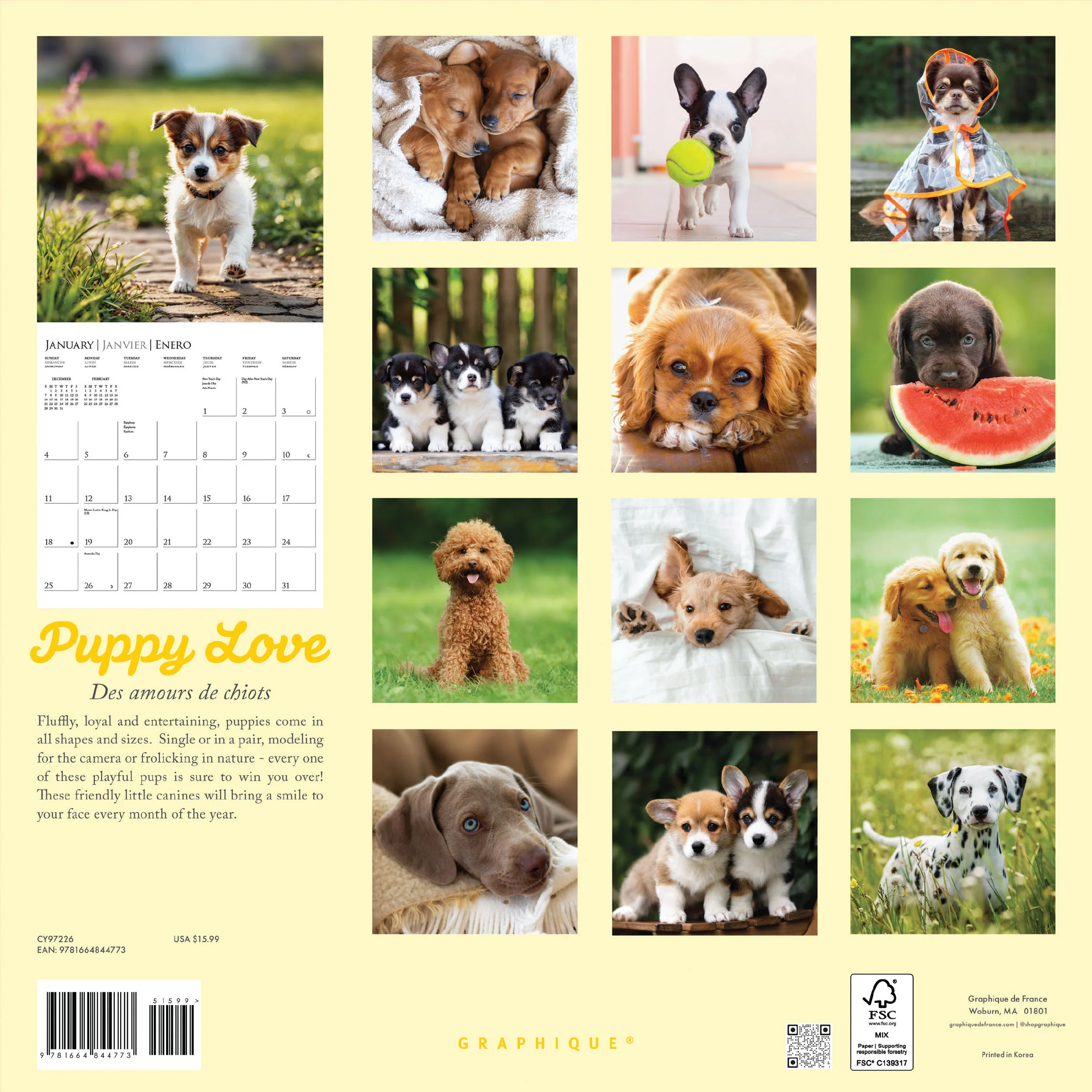 Puppy Love 12 x 12 Wall Calendar - Image 4