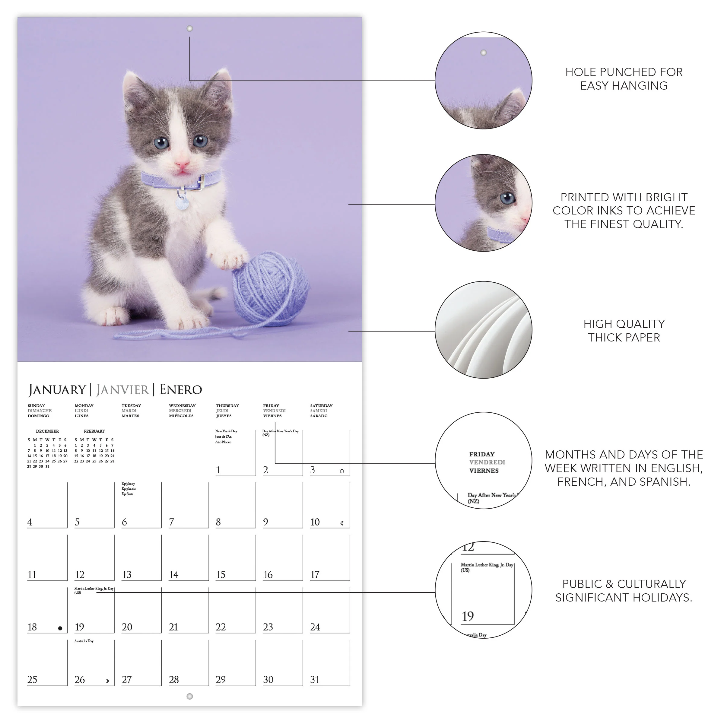 Cute Kittens 12 x 12 Wall Calendar - Image 3