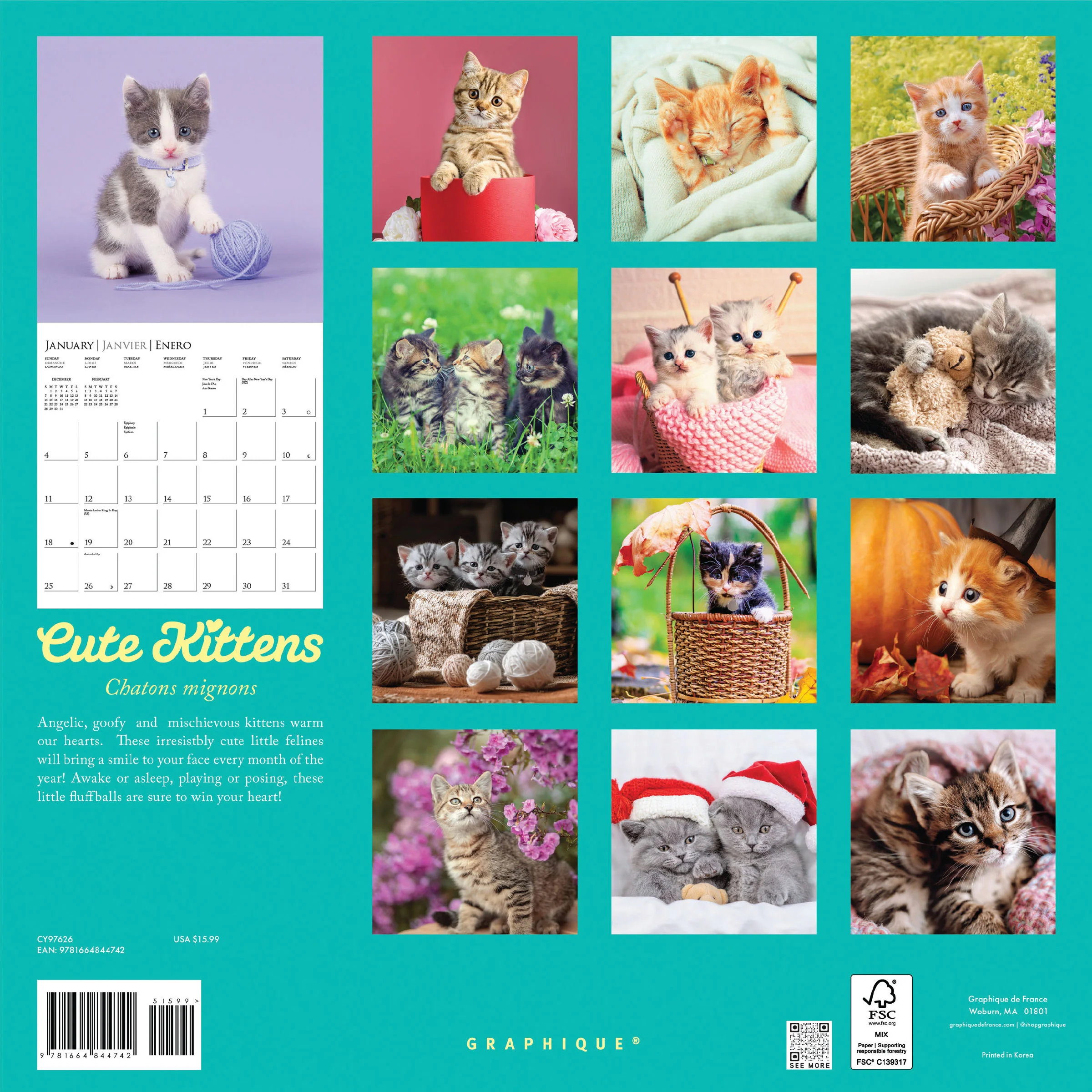 Cute Kittens 12 x 12 Wall Calendar - Image 4