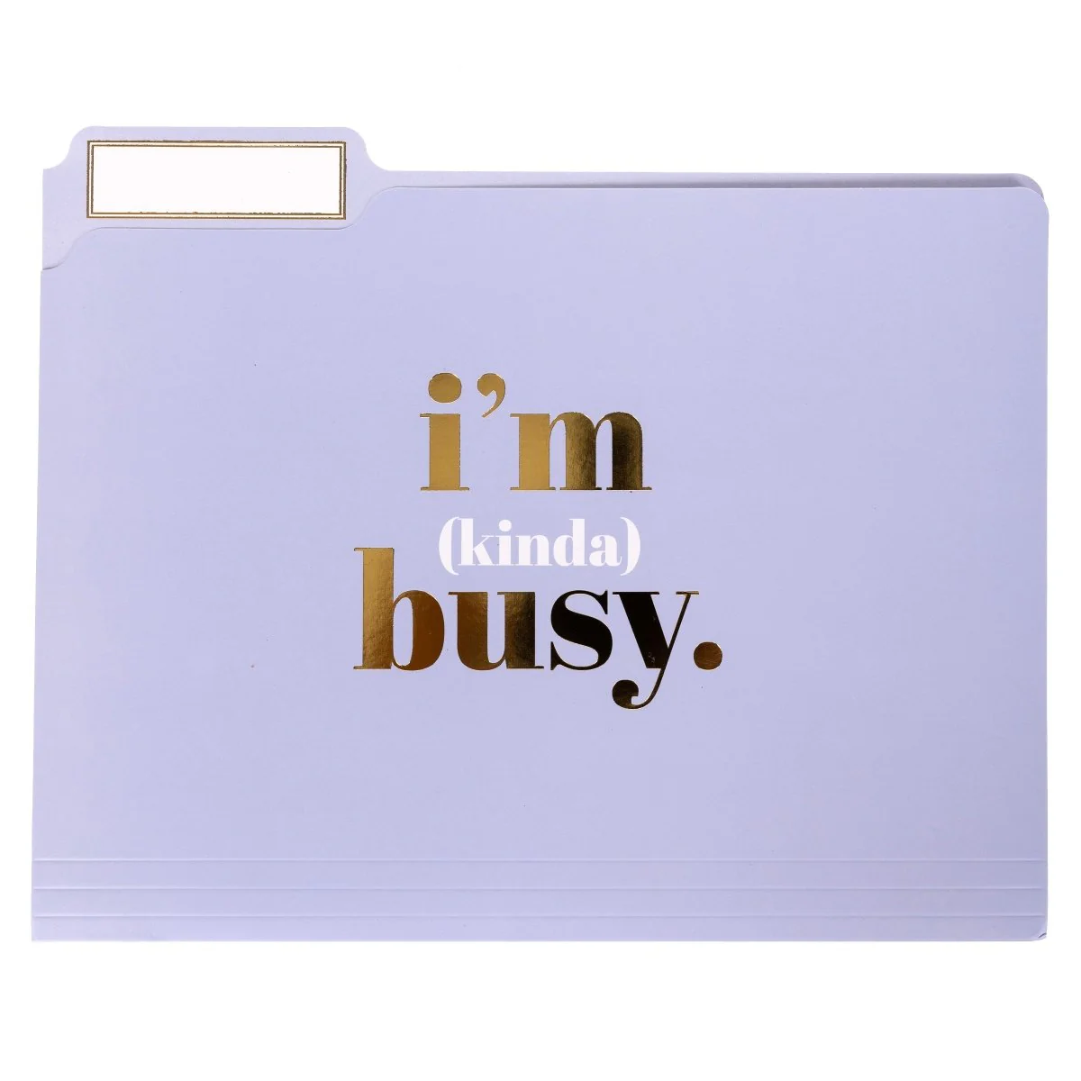 I'm Busy File Folder Set - Image 3