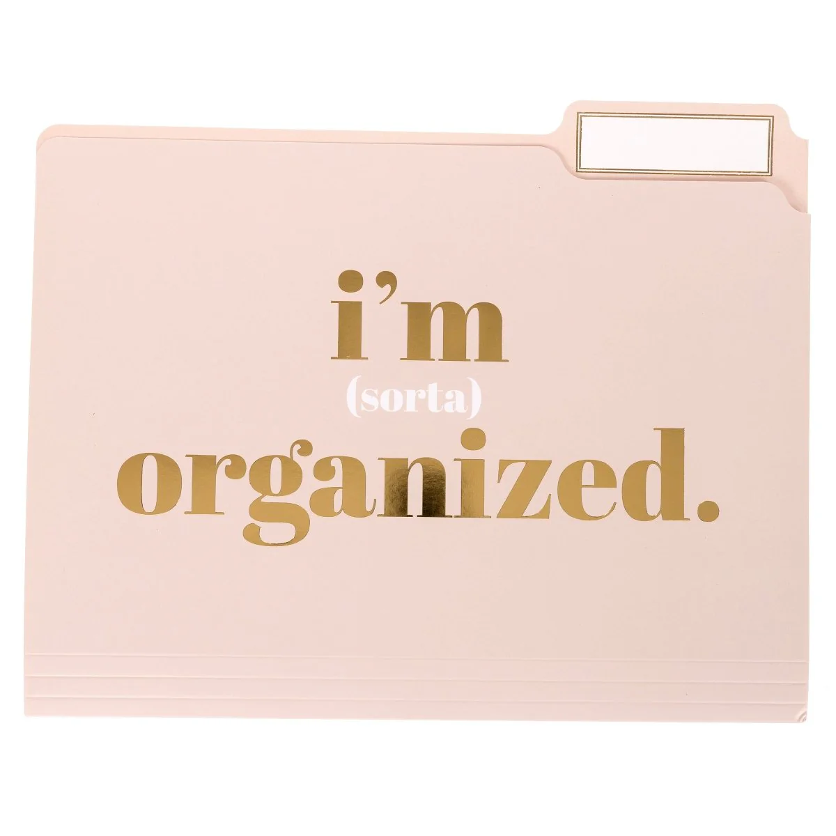 I'm Busy File Folder Set - Image 5