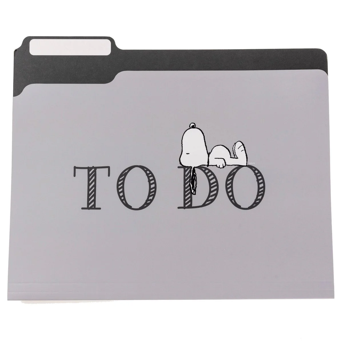 Peanuts® Laying File Folder Set - Image 3