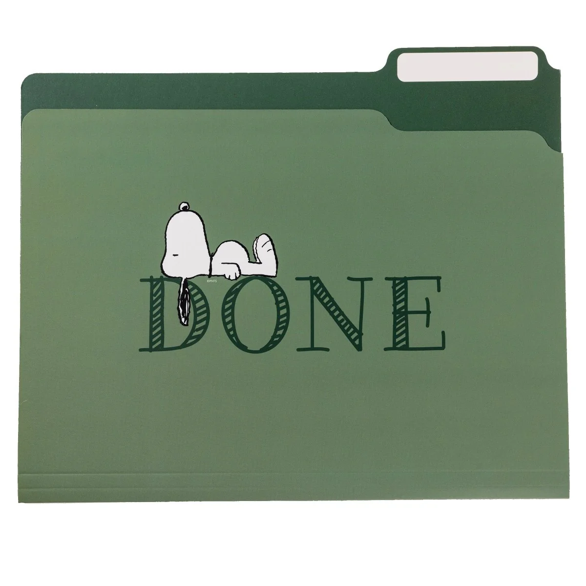 Peanuts® Laying File Folder Set - Image 5