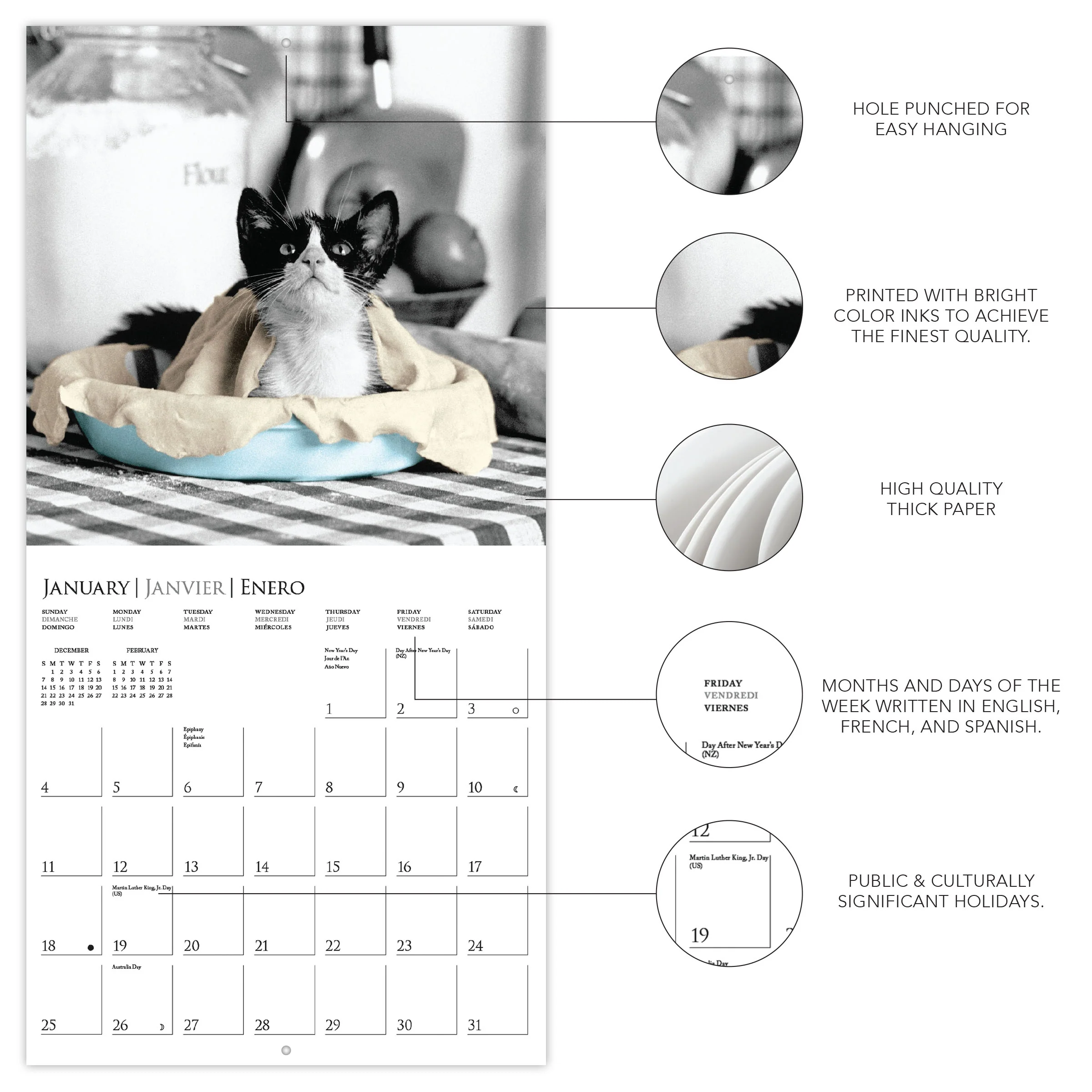 Classic Cats 7 x 7 Mini Calendar - Image 3